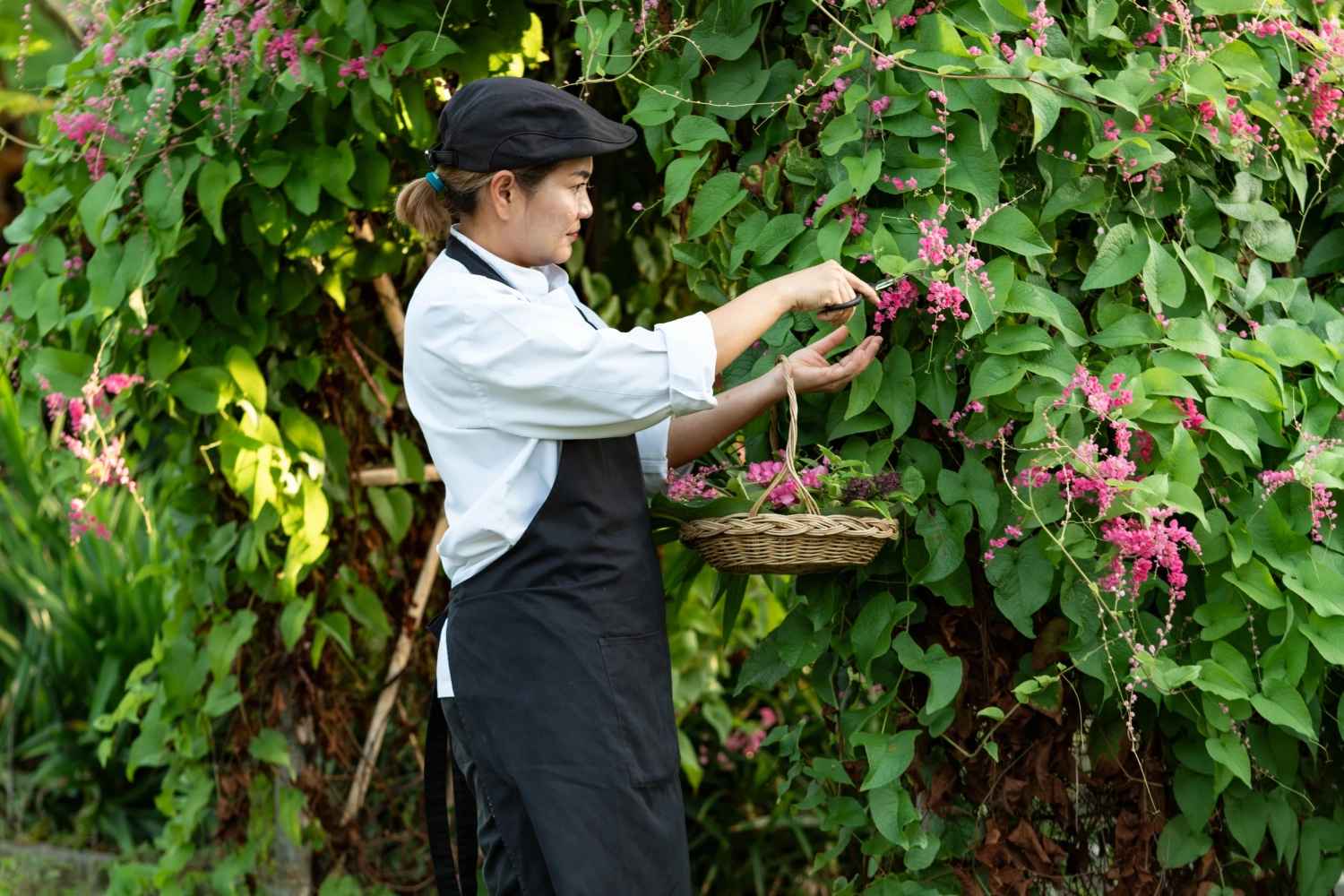 Organic Herb Garden